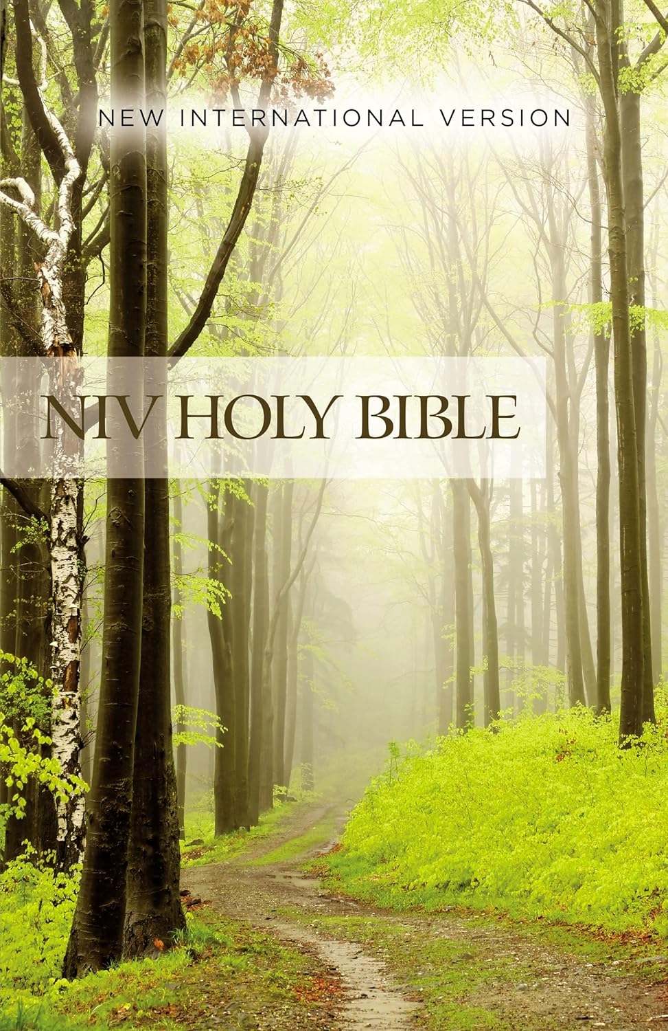 Niv, Value Outreach Bible, Paperback (Special) by Zondervan 9780310446484