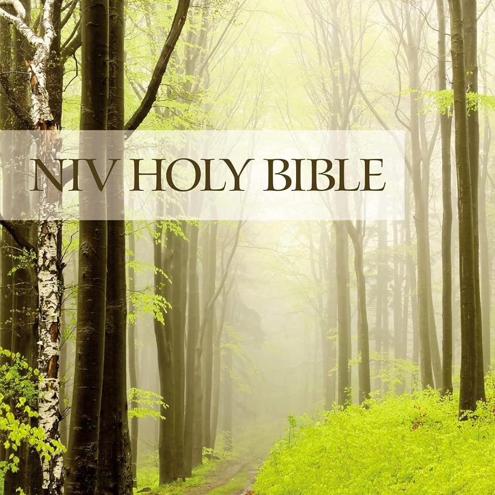 Niv, Value Outreach Bible, Paperback (Special) by Zondervan 9780310446484