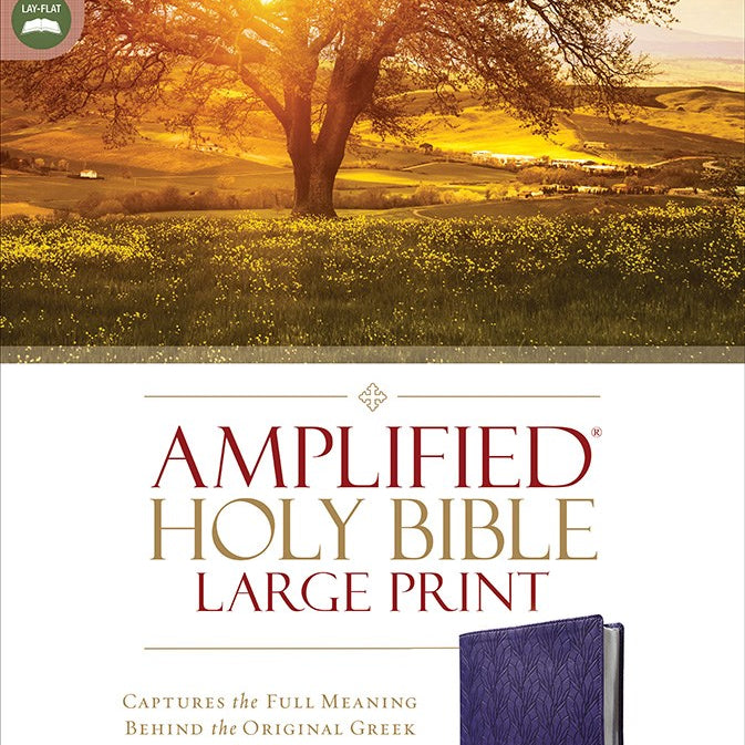 Amplified Holy Bible, Large Print, Leathersoft, Purple from Zondervan 20 9780310468943_1