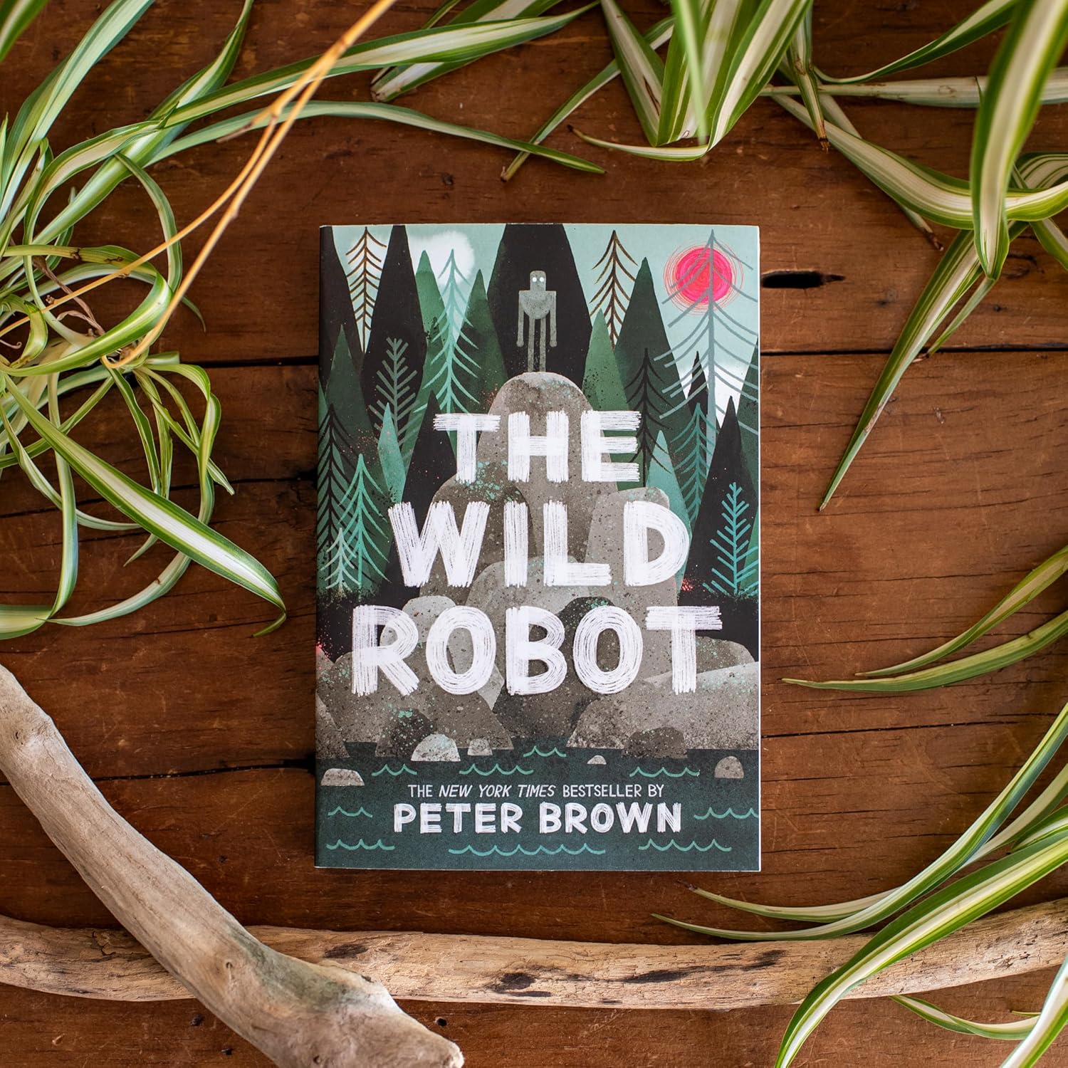 The Wild Robot by Brown. Peter 9780316382007_1