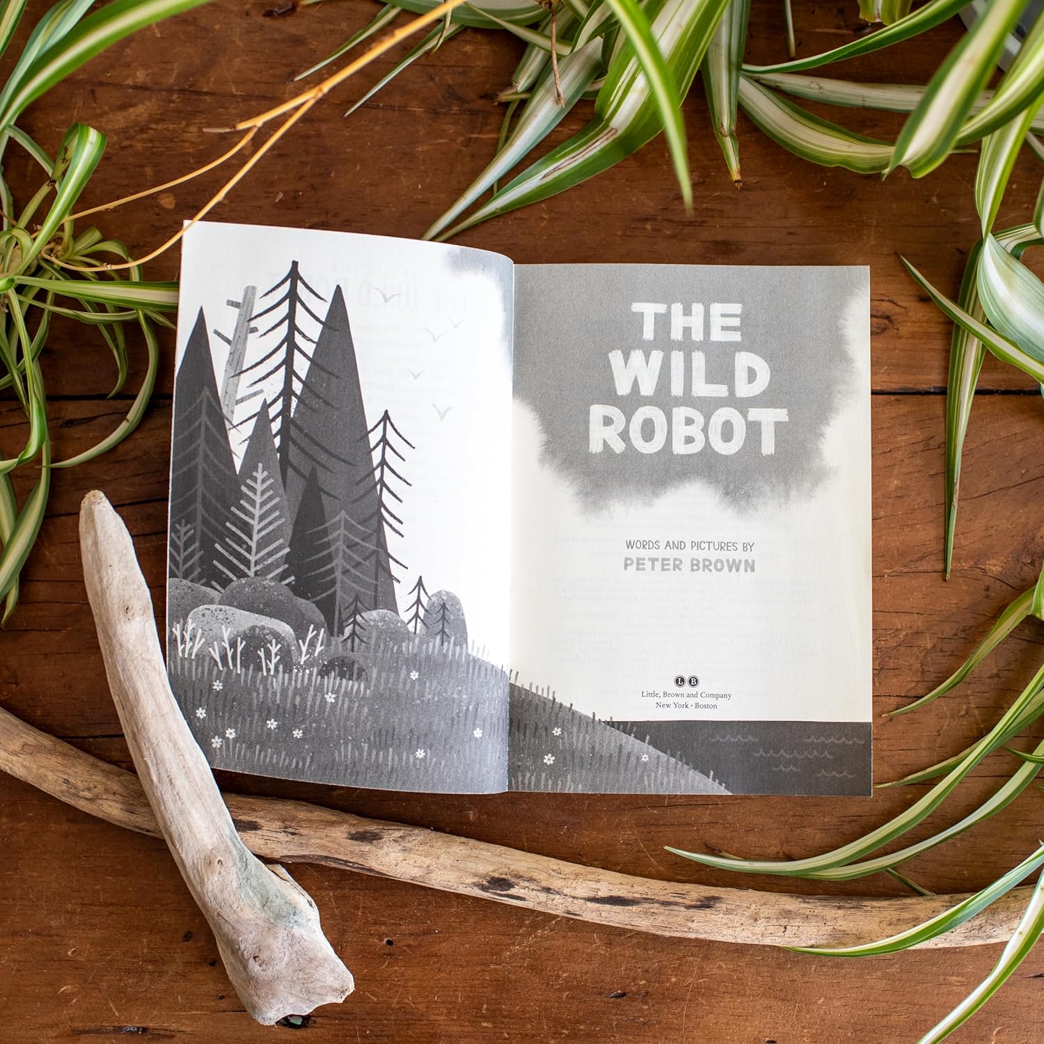 The Wild Robot by Brown. Peter 9780316382007_2