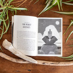 The Wild Robot by Brown. Peter 9780316382007_3