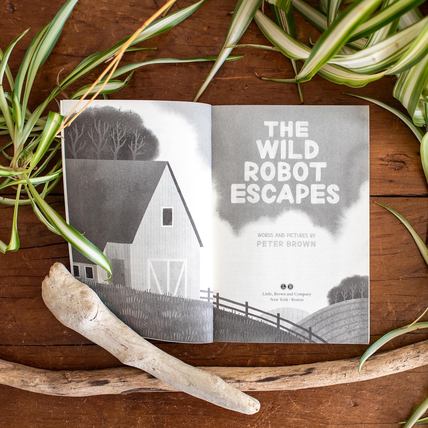 The Wild Robot Escapes by Brown. Peter 9780316479264_2
