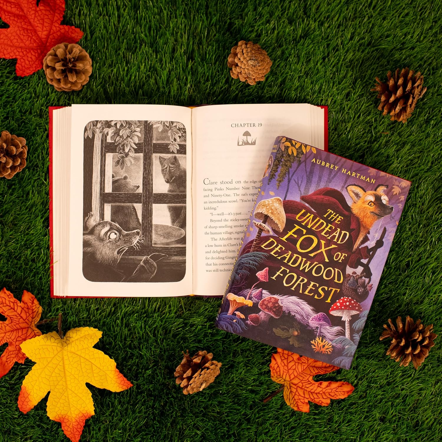 The Undead Fox Of Deadwood Forest by Hartman. Aubrey 20 9780316575720_2