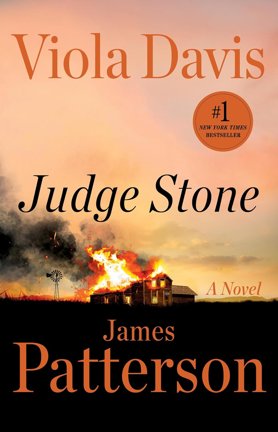 Judge Stone by Davis. Viola and Patterson. James 20 9780316579834