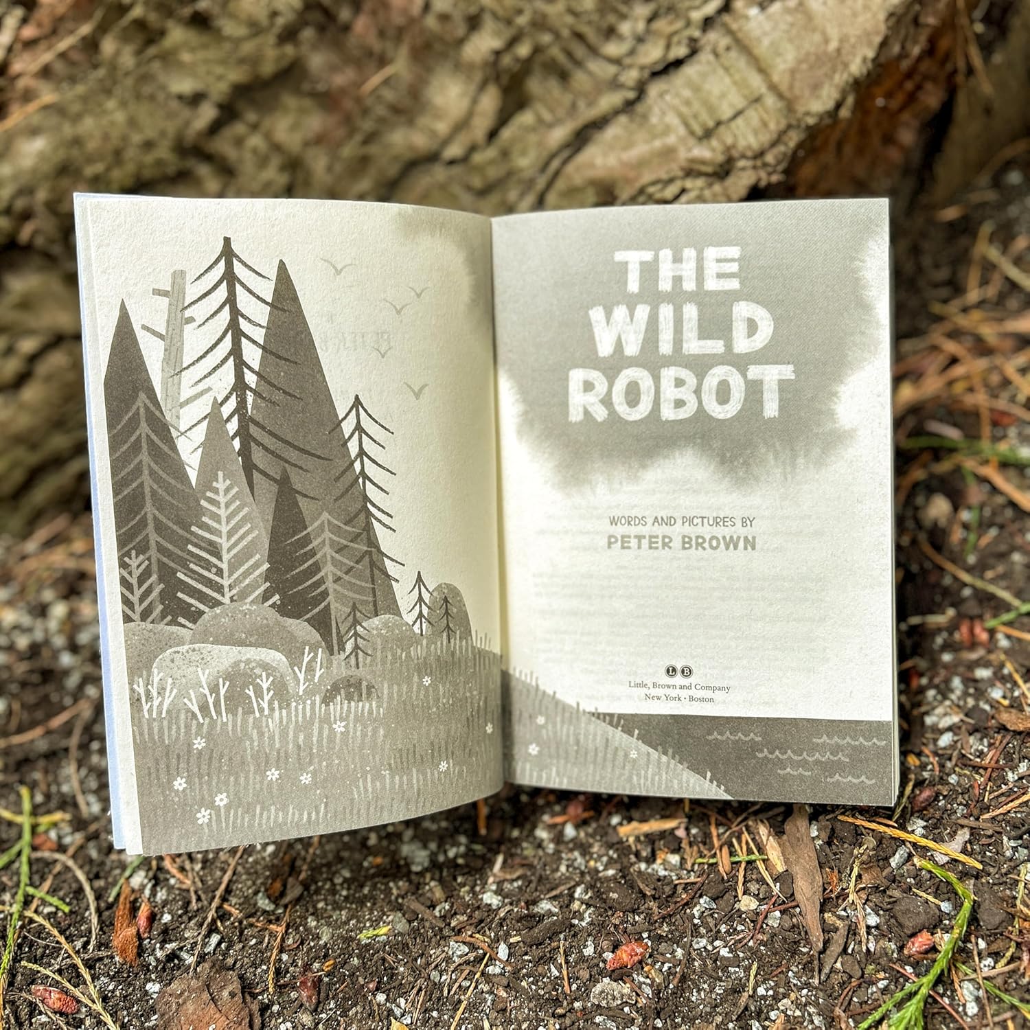 The Wild Robot by Brown. Peter 9780316581097_2