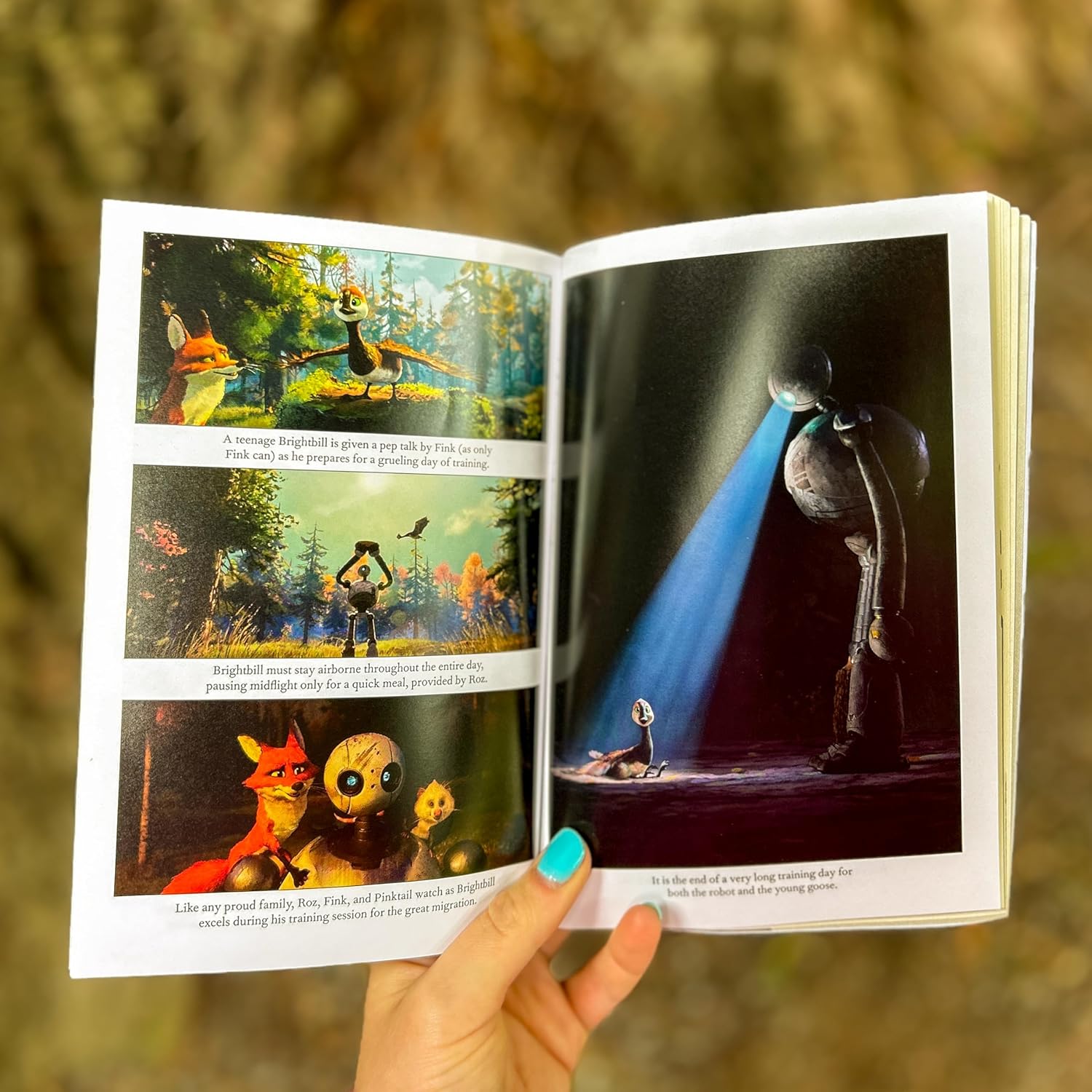 The Wild Robot by Brown. Peter 9780316581097_6