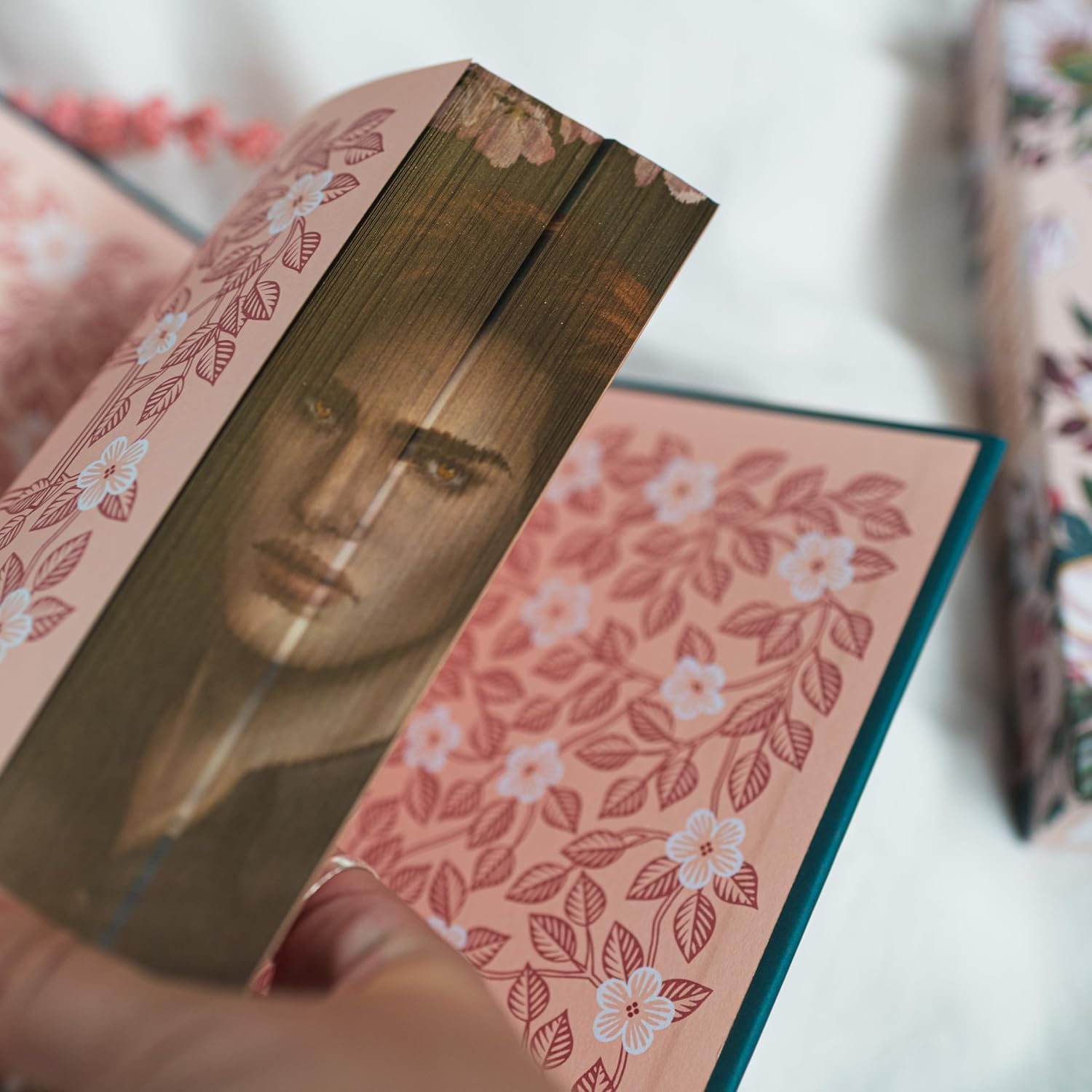 Twilight: Deluxe Collector's Ed. (Special Ed.) by Meyer. S 9780316586887_5