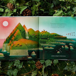 The Wild Robot On The Island by Brown. Peter 9780316669467_3