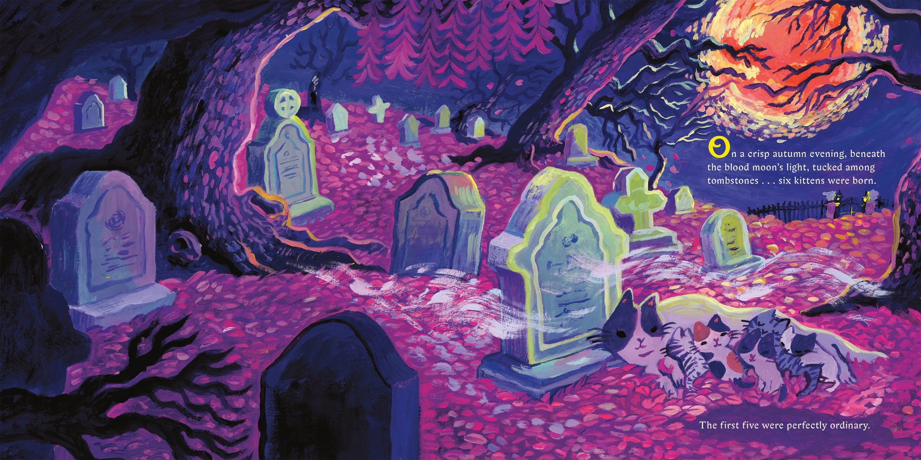 Vampurr by Colon. Justin, Illustrated by Wen. Lenny 20 9780374392802_2