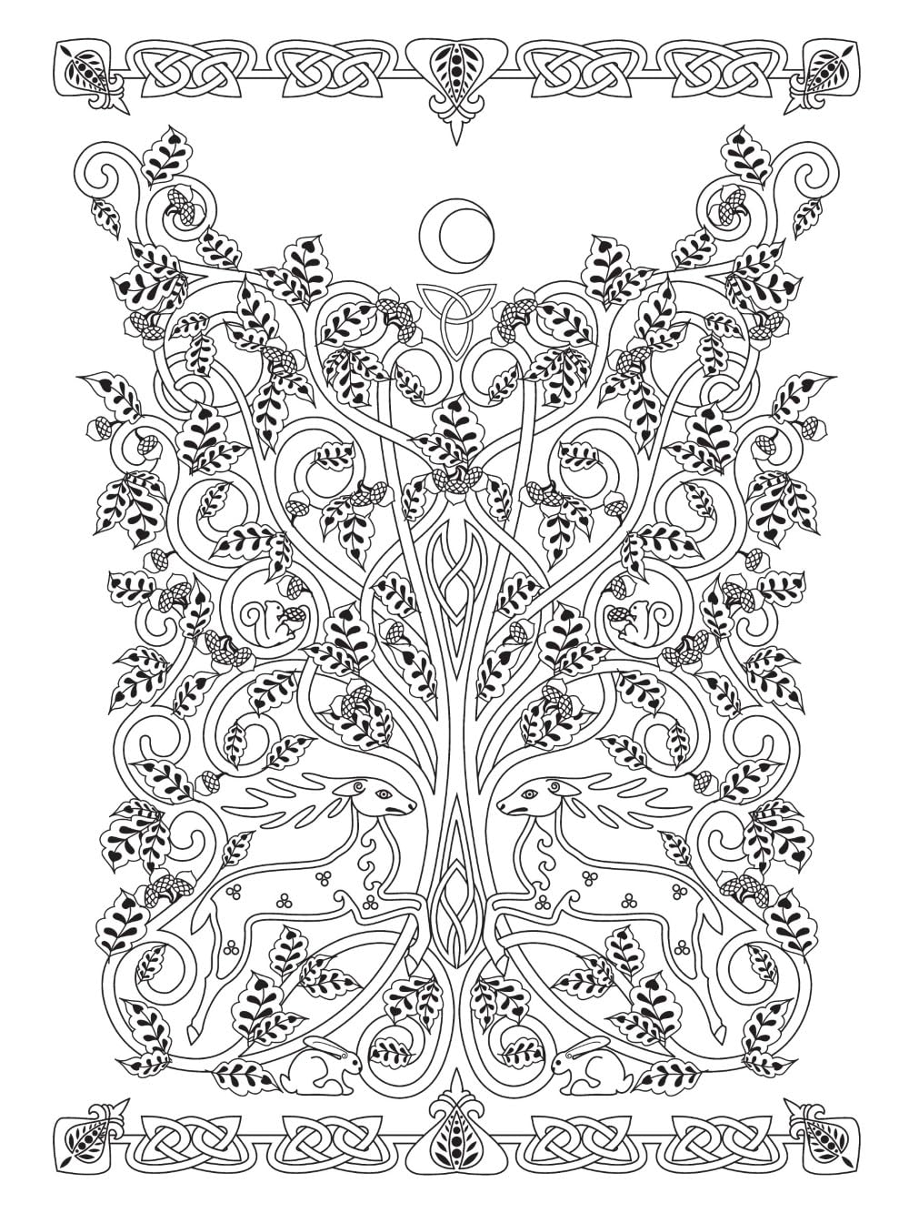 Creative Haven Celtic Nature Designs Coloring Book by Buziak. Cari 9780486850191_3