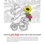 Whimsical Gnomes Coloring Book by Goodridge. Teresa 9780486852515_1