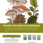 Creative Haven The Art Of Mushrooms Coloring Book by Konetzki. Hannah 9780486853093_1