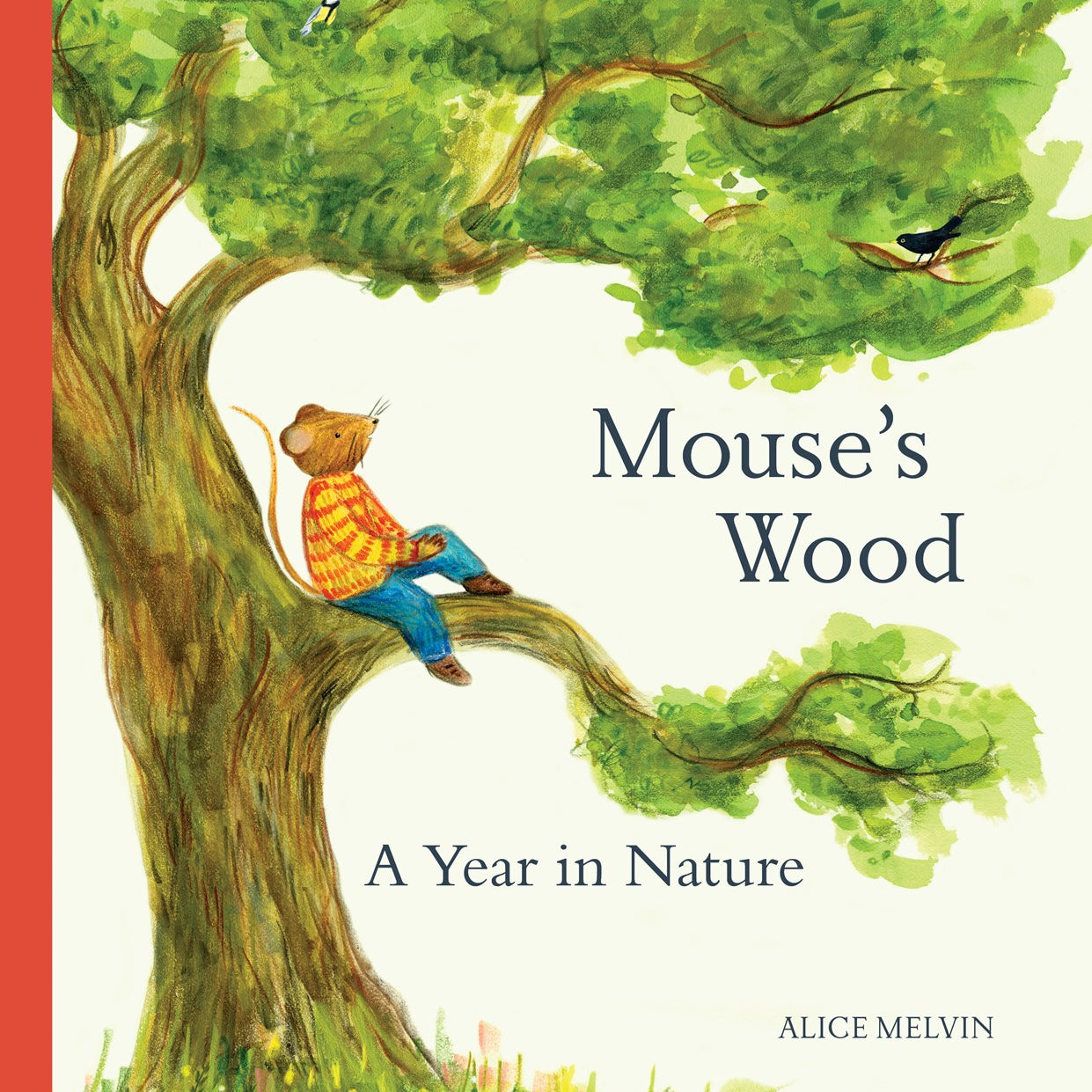 Mouse's Wood: A Year in Nature by Melvin. Alice 20 9780500652701