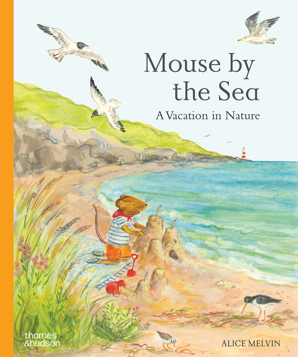 Mouse by the Sea: A Vacation in Nature by Melvin. Alice 20 9780500653654