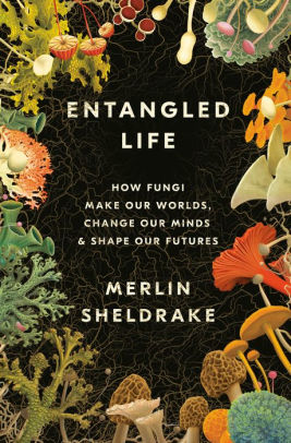 Entangled Life by Sheldrake. Merlin 9780525510314_a07b051a-0d84-47d4-b7dd-eee2240975b0