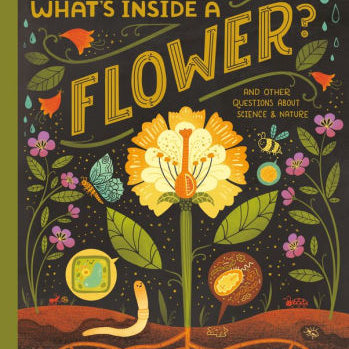 What's Inside A Flower?: And Other Questions About Science & Nature by Ignotofsk 9780593176481_5da20ba8-bc9f-46c5-980b-f6f7b7e647db
