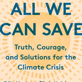 All We Can Save by Johnson. Ayana Elizabeth 9780593237083