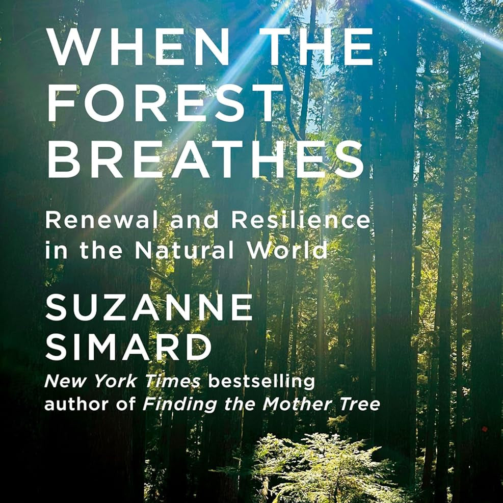 When the Forest Breathes by Simard. Suzanne - Hardback 20 9780593318683