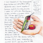 The Backyard Bird Chronicles 9780593536131_3