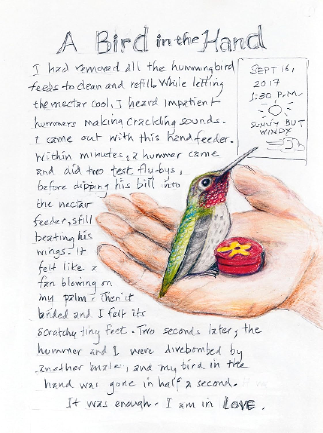 The Backyard Bird Chronicles 9780593536131_3