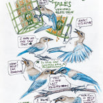 The Backyard Bird Chronicles 9780593536131_5
