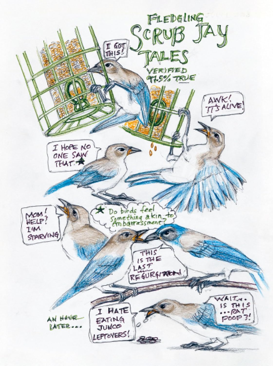 The Backyard Bird Chronicles 9780593536131_5