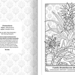 The Happy Houseplant Coloring Book by Keegan. Caitlin 20 9780593578803_4