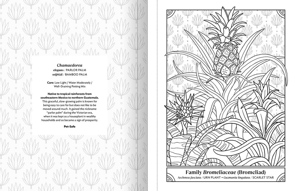 The Happy Houseplant Coloring Book by Keegan. Caitlin 20 9780593578803_4