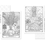 The Happy Houseplant Coloring Book by Keegan. Caitlin 20 9780593578803_5