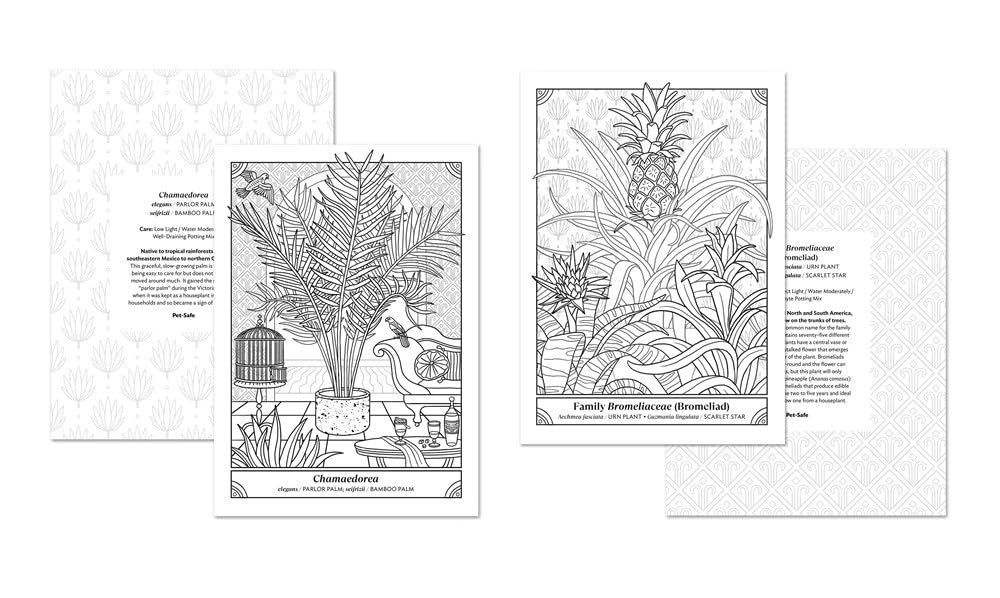 The Happy Houseplant Coloring Book by Keegan. Caitlin 20 9780593578803_5_a9a8b578-13d0-49c3-ac1a-8d6d7fc6e1c7