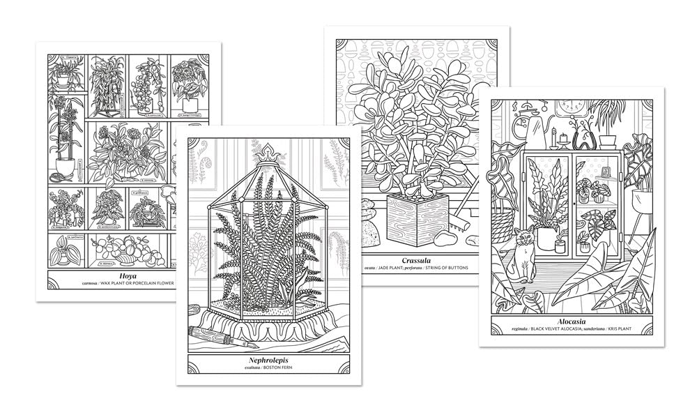 The Happy Houseplant Coloring Book by Keegan. Caitlin 20 9780593578803_6