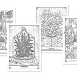 The Happy Houseplant Coloring Book by Keegan. Caitlin 20 9780593578803_6_7d398713-a67c-4991-a5b1-cd75fda1184f