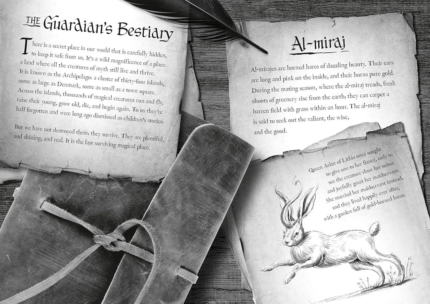 Impossible Creatures by Rundell. Katherine; Mackenzie. Ashley 9780593809860_3