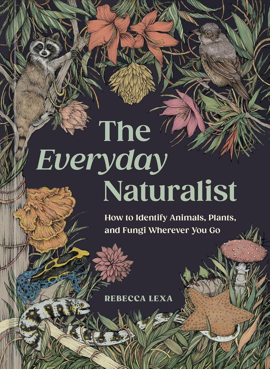 The Everyday Naturalist by Lexa. Rebecca 9780593835975