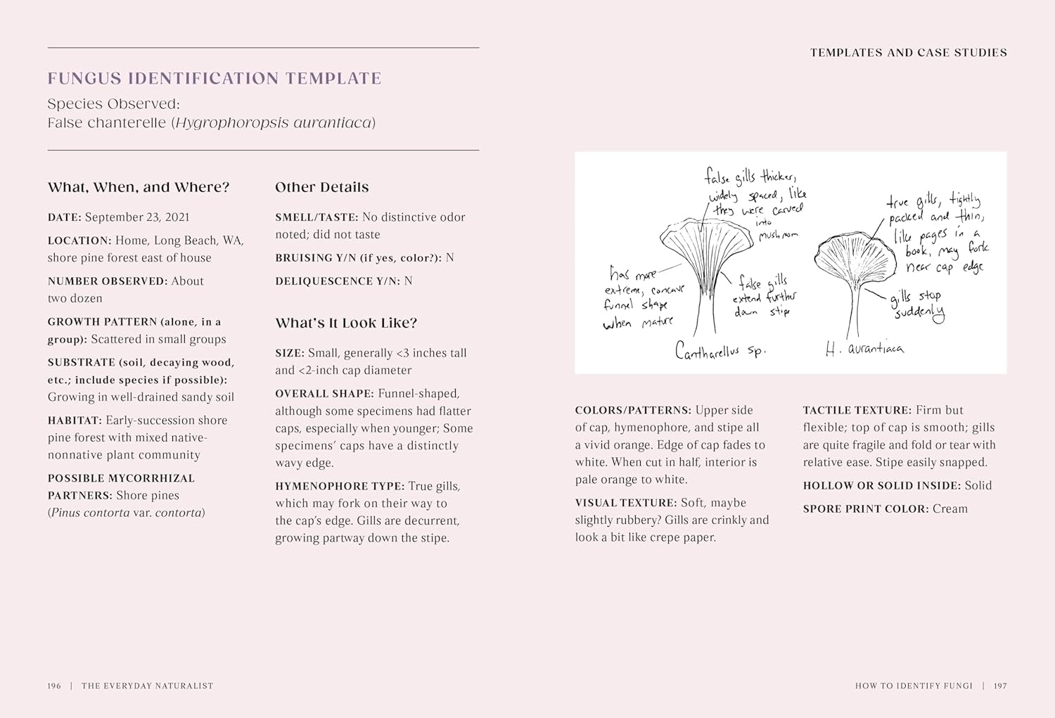The Everyday Naturalist by Lexa. Rebecca 9780593835975_4