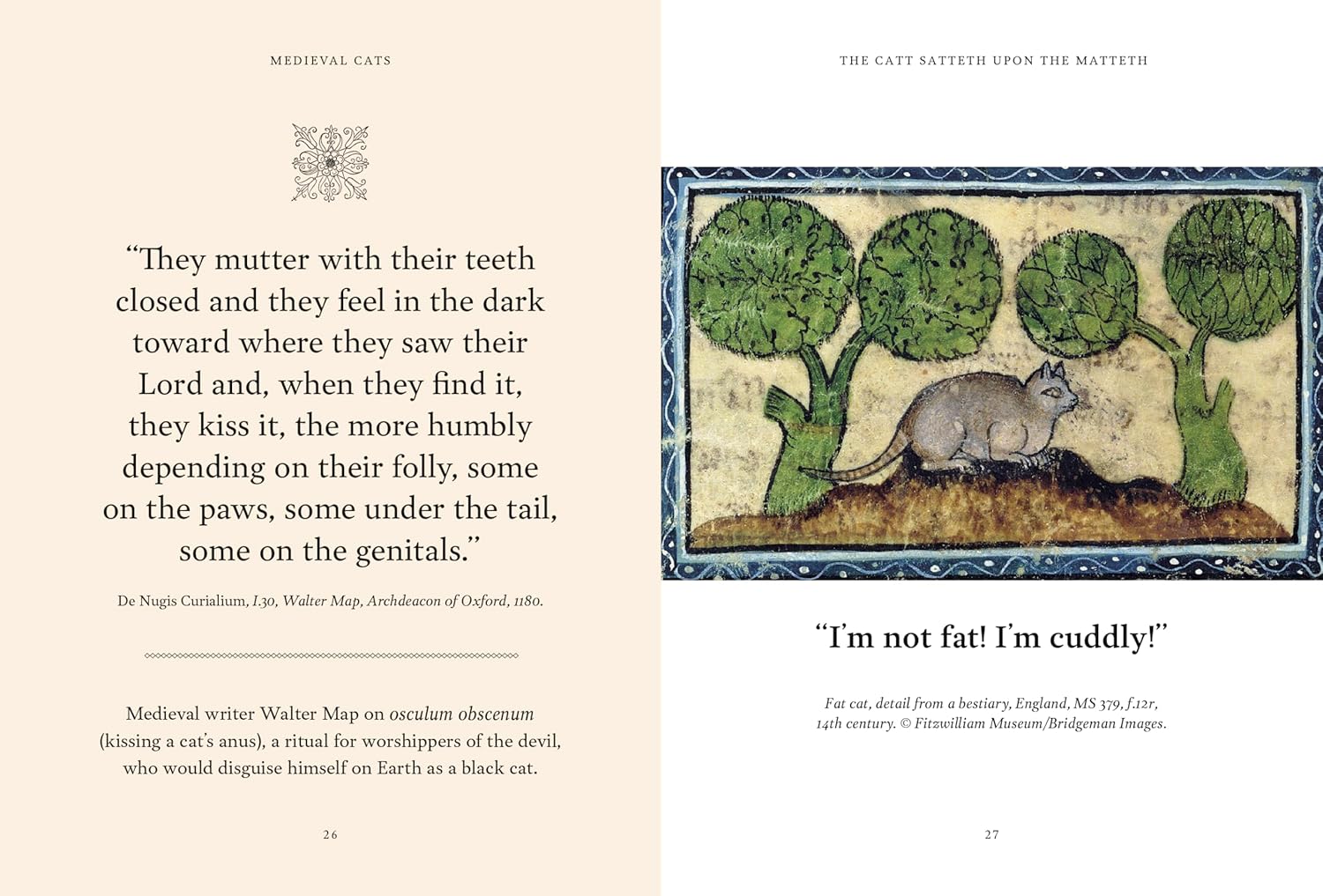 Medieval Cats: Claws, Paws, And Kitties Of Yore by Nappington. Catherine 9780593837504_1
