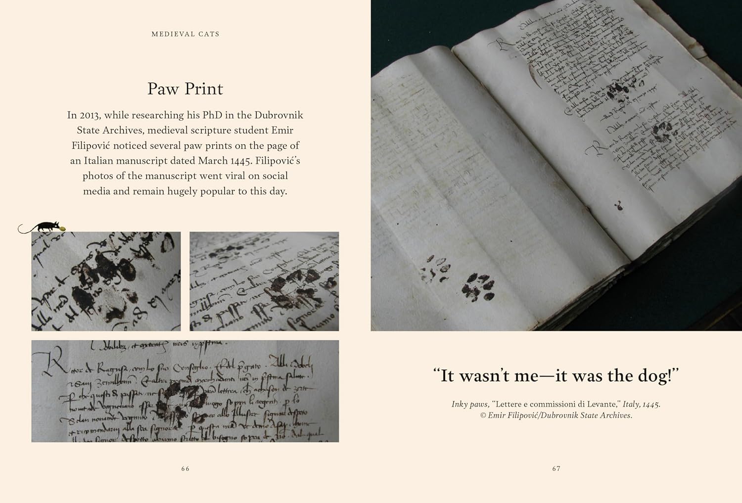 Medieval Cats: Claws, Paws, And Kitties Of Yore by Nappington. Catherine 9780593837504_4