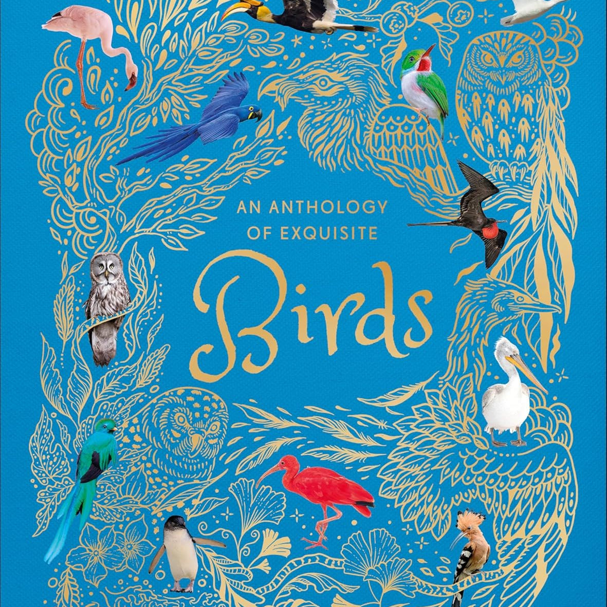 An Anthology Of Exquisite Birds (Dk Children'ts Anthologies) by Hoare. Ben 9780593843581