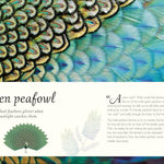 An Anthology Of Exquisite Birds (Dk Children'ts Anthologies) by Hoare. Ben 9780593843581_1