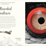 An Anthology Of Exquisite Birds (Dk Children'ts Anthologies) by Hoare. Ben 9780593843581_2