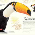 An Anthology Of Exquisite Birds (Dk Children'ts Anthologies) by Hoare. Ben 9780593843581_5