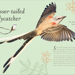 An Anthology Of Exquisite Birds (Dk Children'ts Anthologies) by Hoare. Ben 9780593843581_7