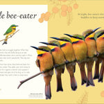 An Anthology Of Exquisite Birds (Dk Children'ts Anthologies) by Hoare. Ben 9780593843581_8