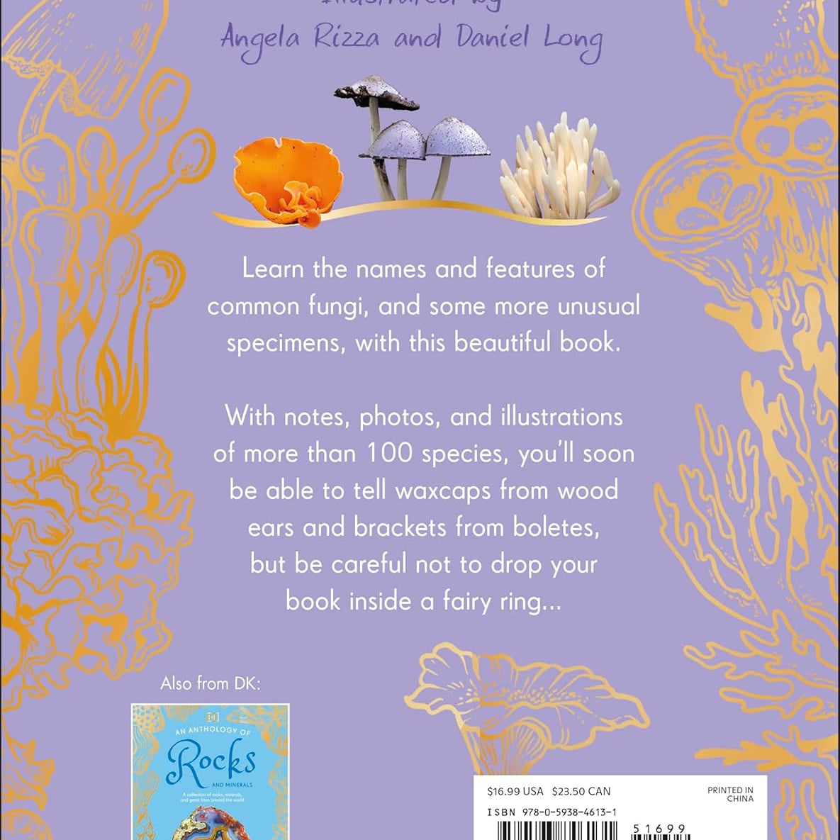 An Anthology Of Fungi: A Collection Of Mushrooms, Toadstools And Other Fungi by 9780593846131_1