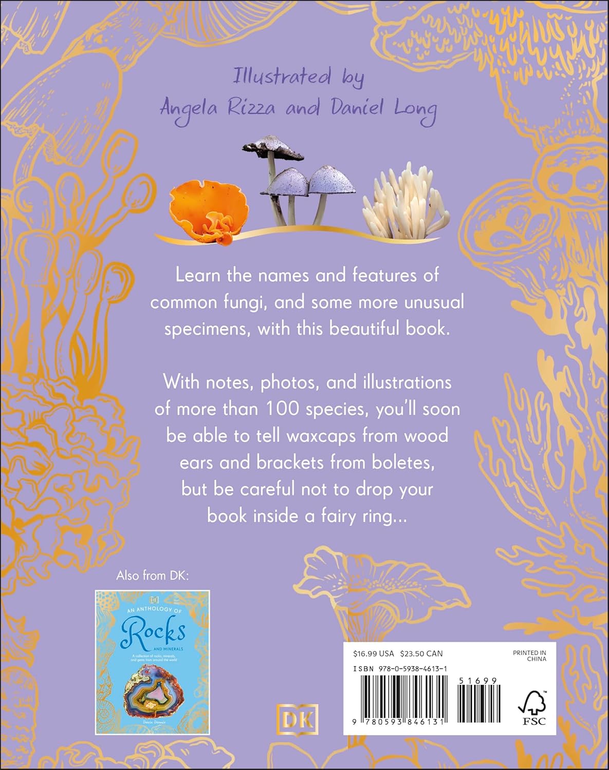 An Anthology Of Fungi: A Collection Of Mushrooms, Toadstools And Other Fungi by 9780593846131_1