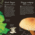 An Anthology Of Fungi: A Collection Of Mushrooms, Toadstools And Other Fungi by 9780593846131_4