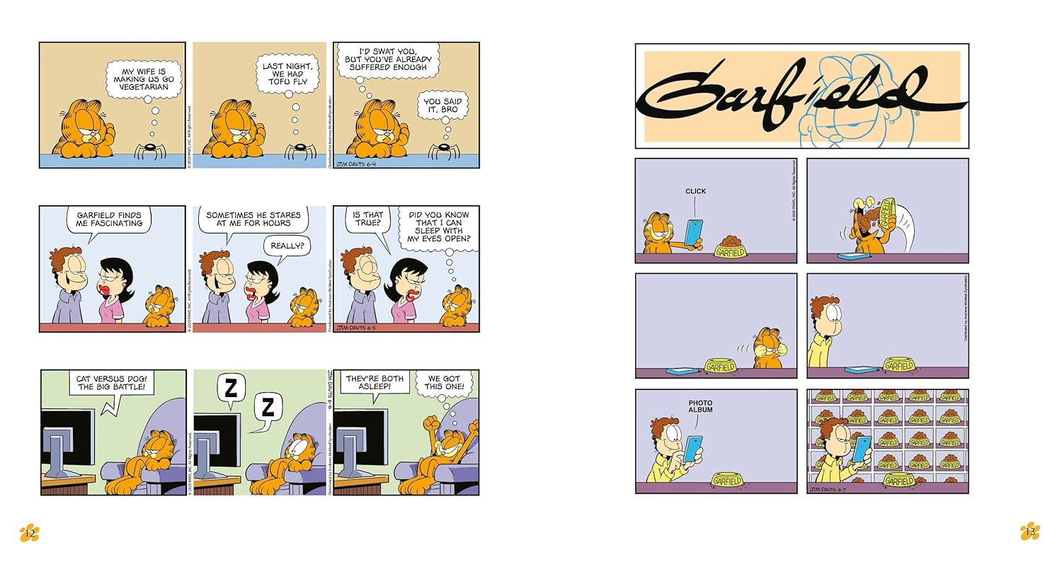 GARFIELD FAT CAT 3-PACK #25 - DAVIS. JIM Jerrol's Supplies