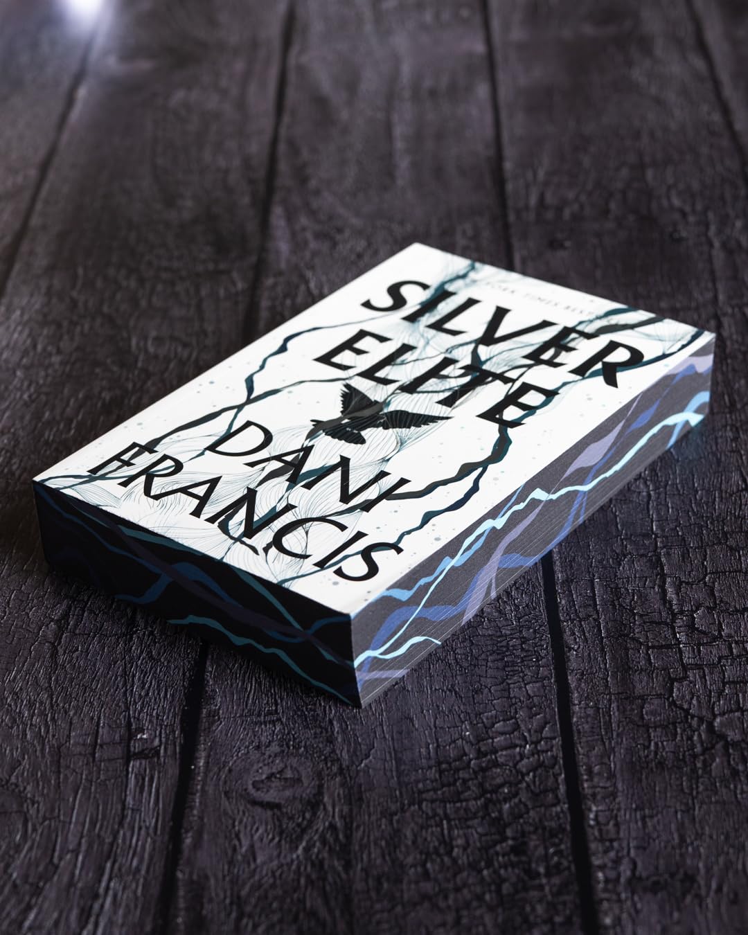 Silver Elite (Silver Elite #1) by Francis. Dani 20 9780593875483_2