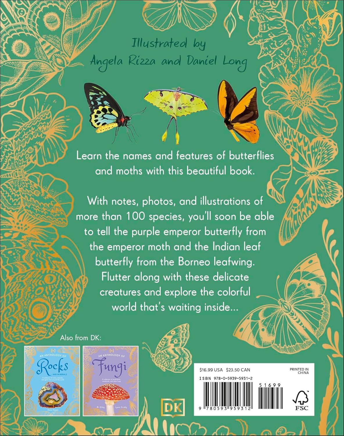 An Anthology Of Butterflies And Moths: A Collection From Around The World by Dk 20 9780593959312_1